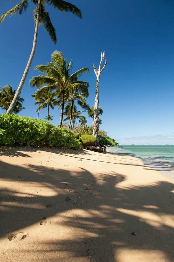 Anini Beach is a great place for a long, leisurely hike