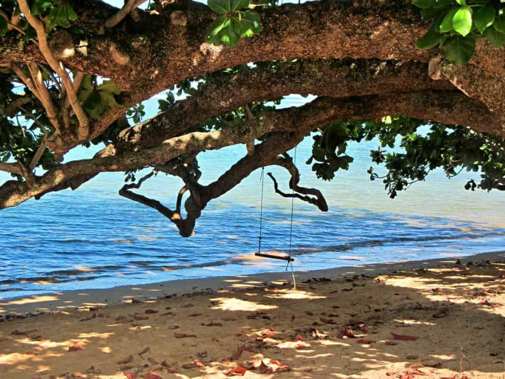 Relax with a tree swing on Anini Beach, Kauai, Hawaii