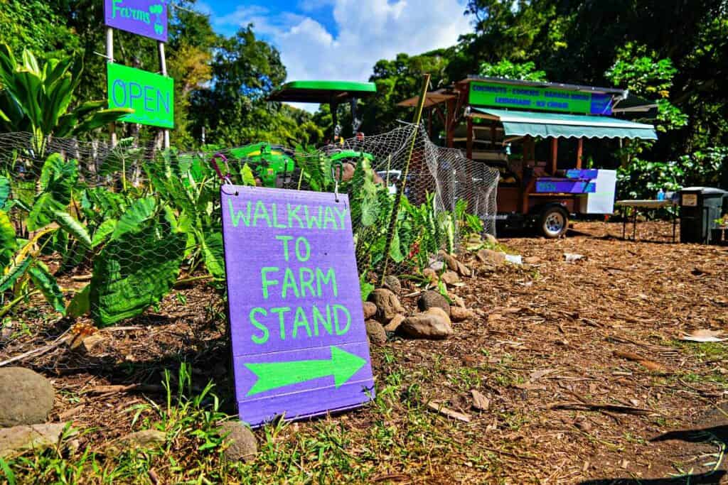 Farm stand selling tropical fruit and ice cream near Honolua Bay, Maui, HI