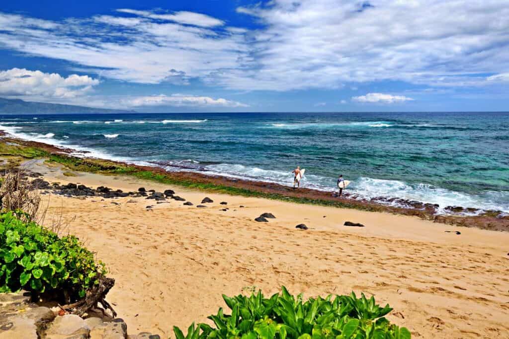 Surfers entering the water to ride the waves at Ho'okipa Beach, Maui, HI