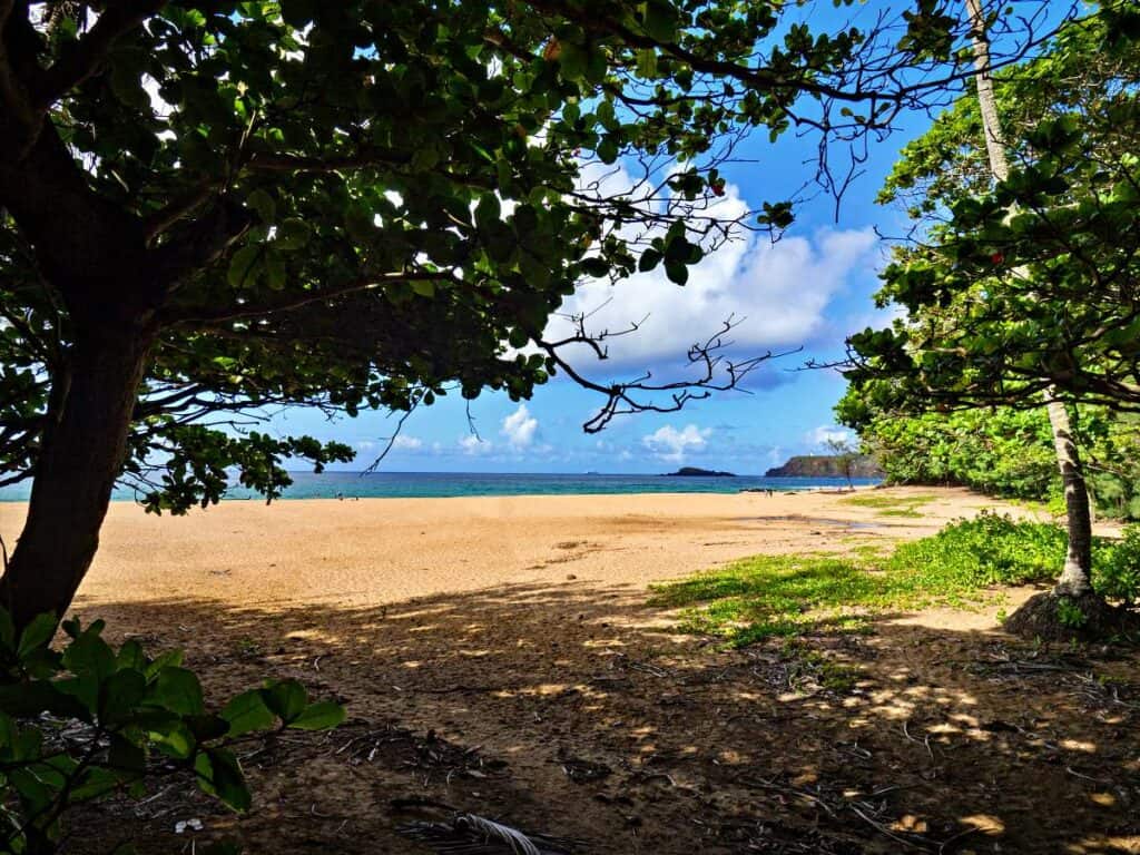 Expansive beach for sunbathing and shaded areas for relaxing with a book on Secret Beach, Kauai