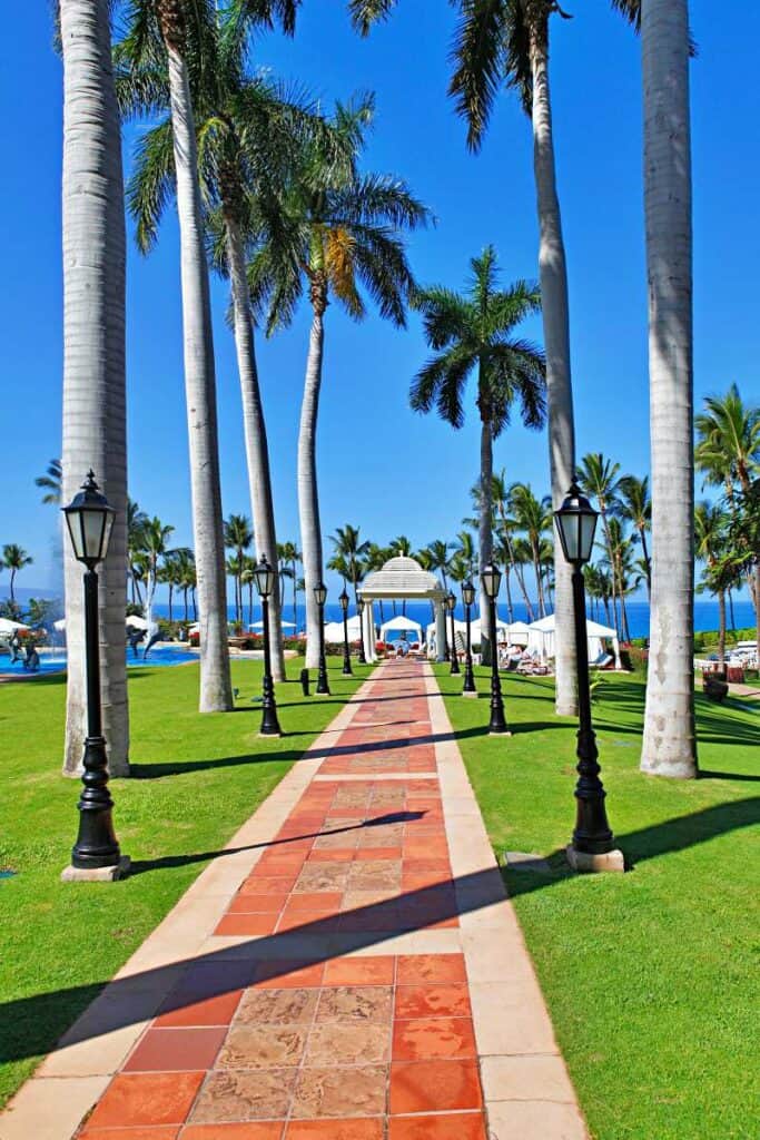Palm tree walkway from Grand Wailea Resort to Wailea Beach