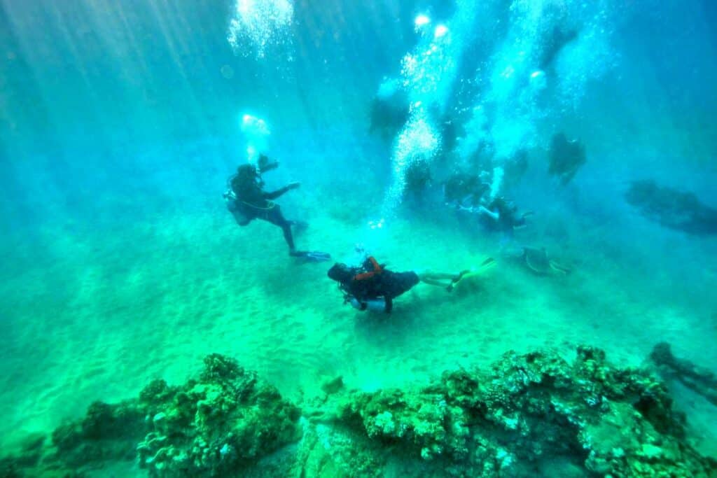 Scuba divers exploring coral reefs near Wailea Beach, Maui, HI