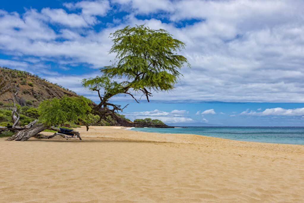 Golden sand at Big Beach in Maui, Hawaii