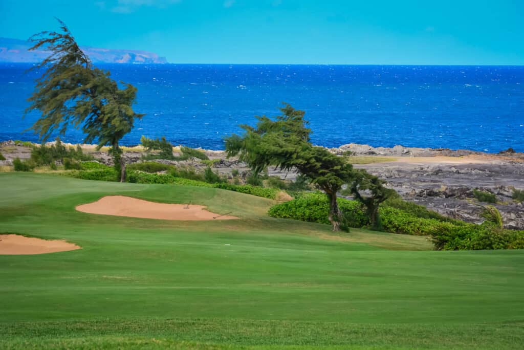 Golf course in Kapalua, Maui