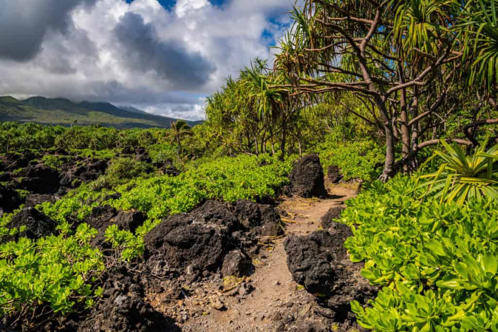 Hiking trail in Wai'anapanapa State Park in Maui