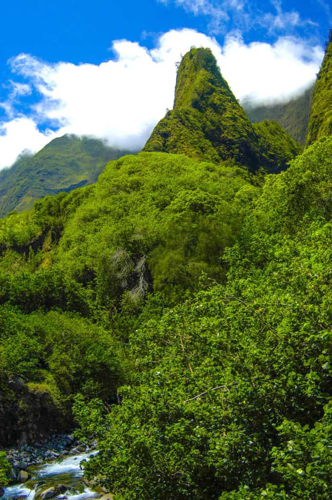 The lush and green Iao Valley in Maui