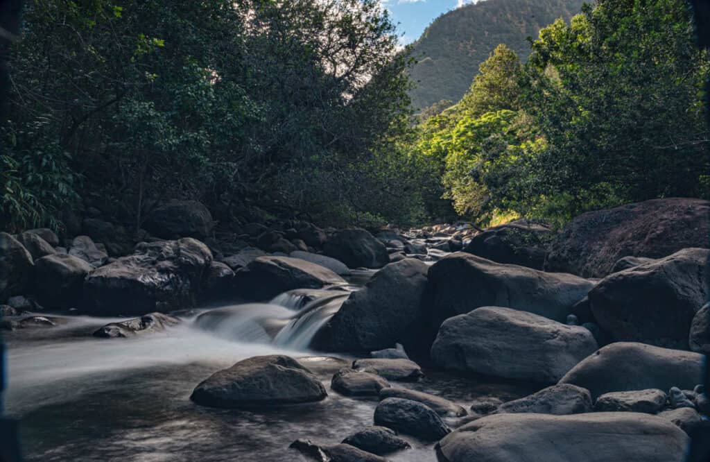 The Iao Stream flows through the Iao Valley in Maui, Hawaii