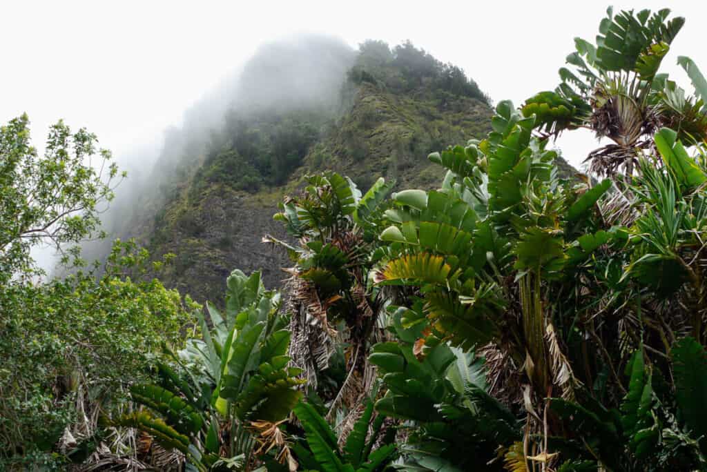 A misty cool day in the Iao Valley in Maui, Hawaii