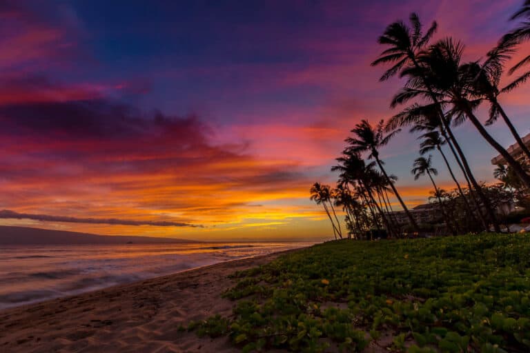 Maui in Winter: 7 BEST Reasons to Visit!