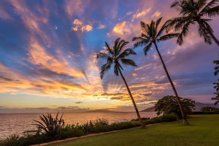 11 Best Beaches in South Maui: Complete 2024 Guide!