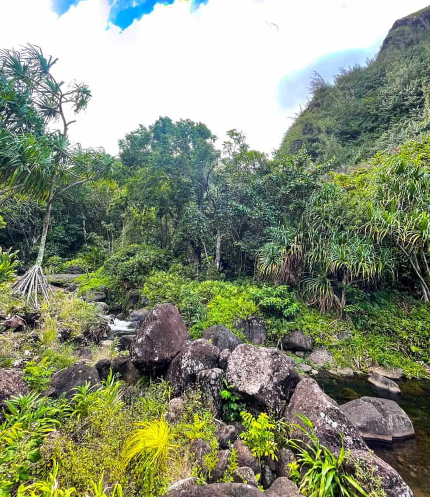 Landscape in Limahuli Garden in Kauai Hawaii