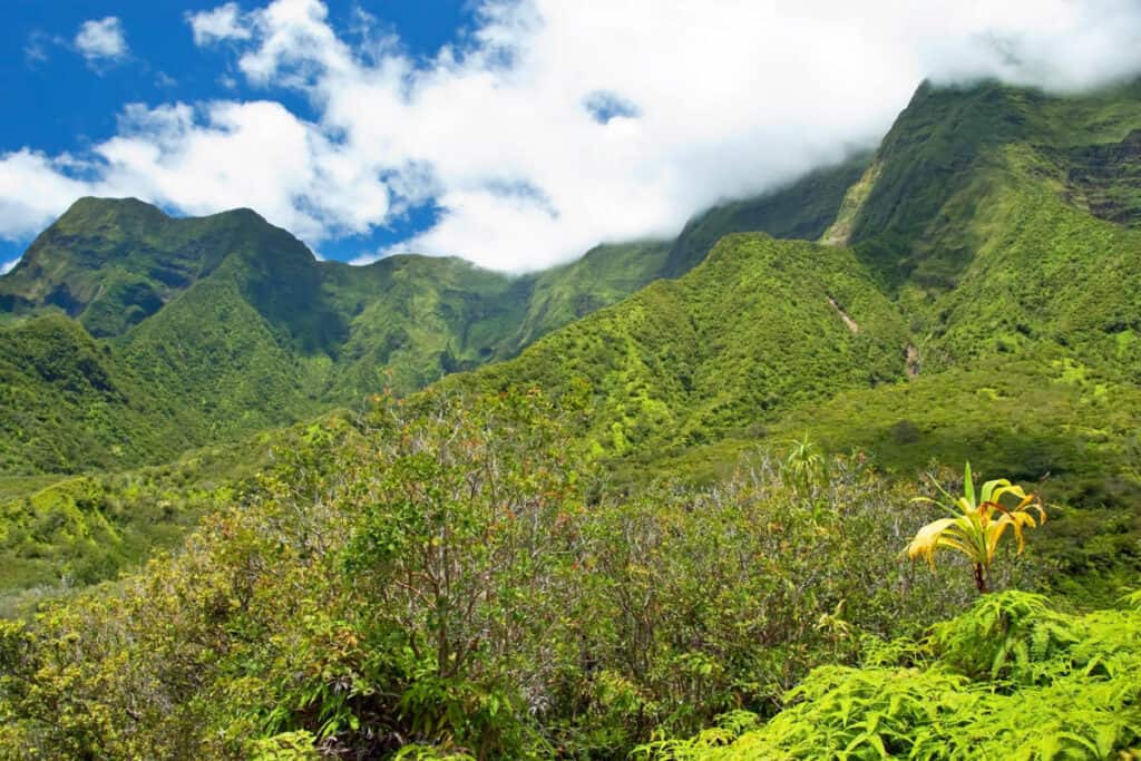 Views of the mountains at Iao Valley State Monument in Maui