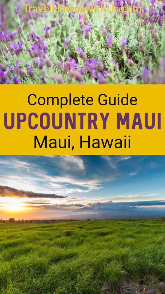Discover everything you need to know to visit Upcountry Maui: Kula, Makawao, Pukalani, and more. Tour farms and gardens, hike, enjoy great food and drink! #mauitravel #upcountrymaui