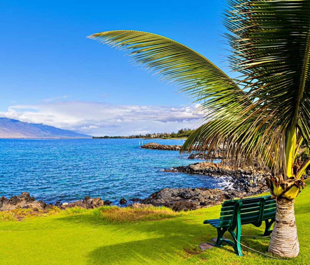Grassy area and bench at the north end of Keawakapu Beach, Maui, Hawaii