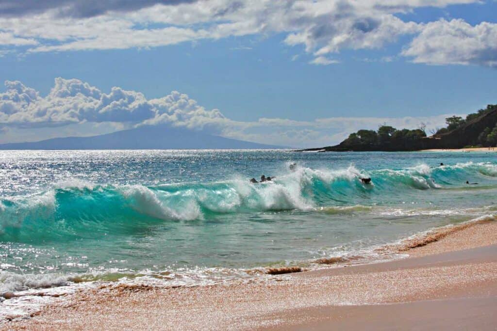 Bodyboarders and extreme boogie boarders riding towering waves at Makena Beach (Big Beach)