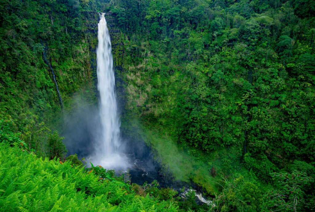 Akaka Falls plunging into the stream-eroded gorge below, Big Island, Hawaii
