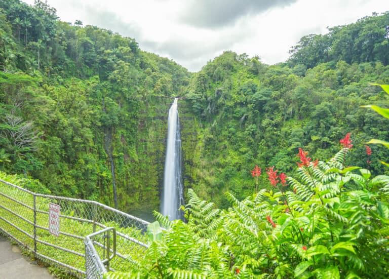 ‘Akaka Falls State Park, Big Island of Hawaii: Complete 2024 Guide!