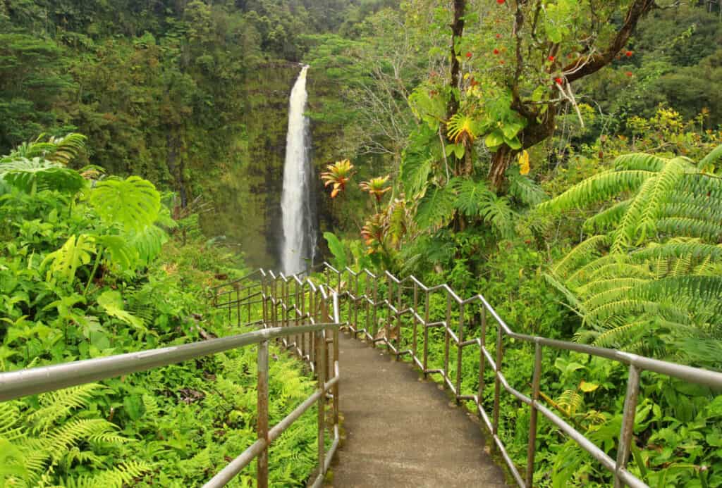 Akaka Falls Trail in Akaka Falls State Park, Big Island, Hawaii