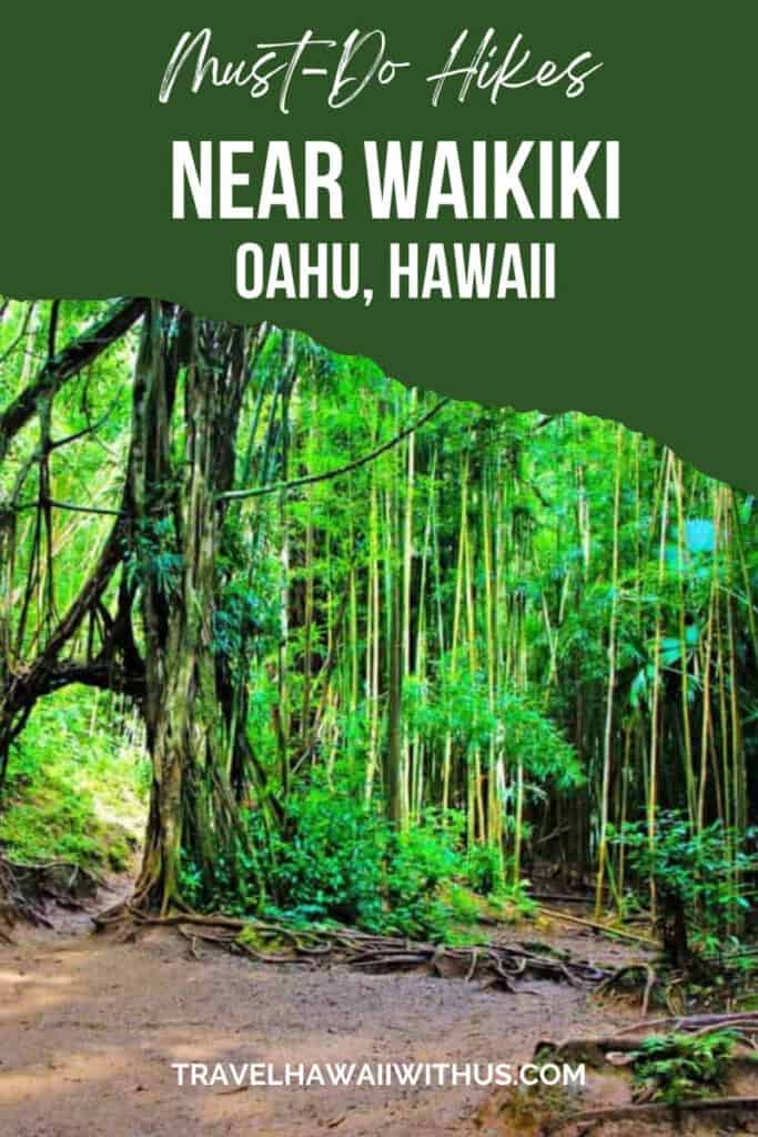 Discover the best hikes near Waikiki in Oahu, Hawaii! Based in Waikiki and don't want to rent a car? most of these hikes near Waikiki are family-friendly and you can take Uber to the trailhead! Manoa Falls, Diamond Head, Makapuu Lighthouse, more! #oahuhikes #waikikihikes