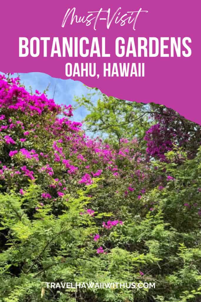 Discover the five botanical gardens in Oahu, Hawaii! Hoomaluhia, Foster, Koko Crater, Wahiawa and Liliuokalani. What to see in each garden plus information on how to visit. #oahugardens #oahutravel