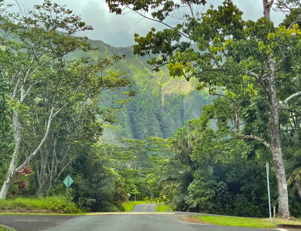 Driving through Hoomaluhia Botanical Garden in Oahu, Hawaii