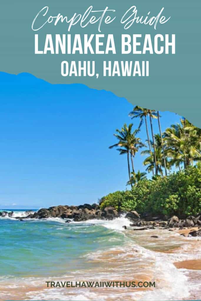 Discover the complete guide to Laniakea Beach on Oahu's north shore. Also known as Turtle Beach, Laniakea Beach is very popular for turtle sightings. It's also a very beautiful beach to stroll!