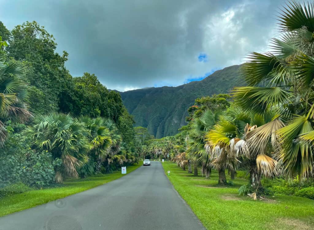 Driving into Hoomaluhia Botanical Garden in Oahu, Hawaii