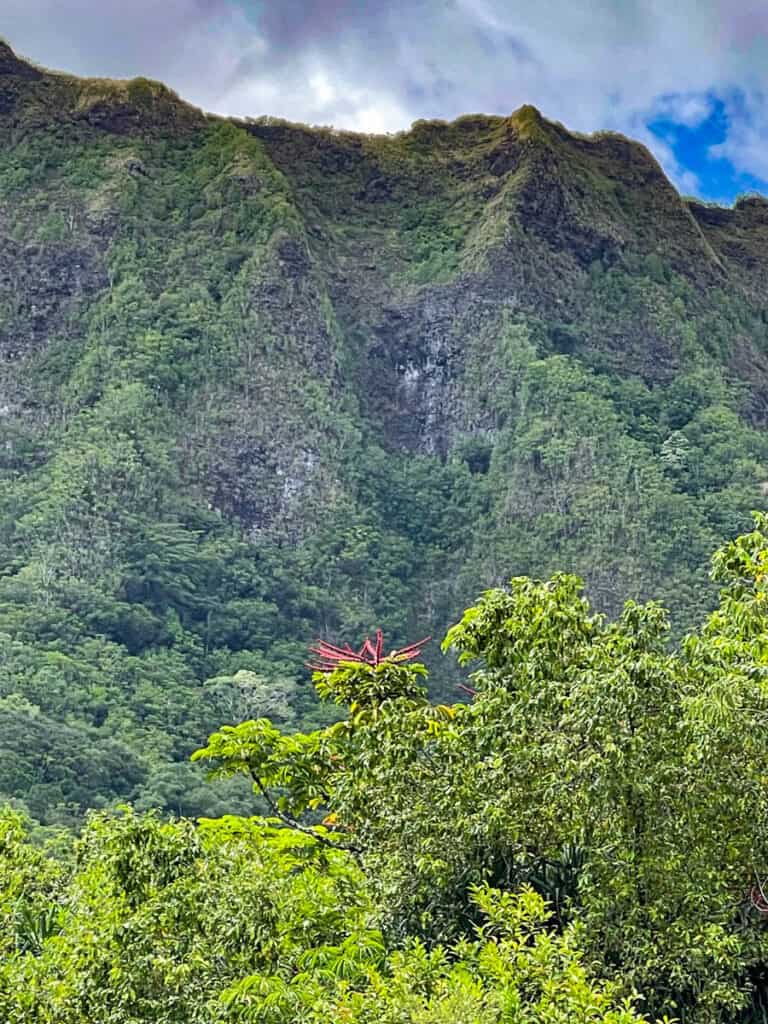 View of the Koolau Mountains from Hoomaluhia Botanical Garden in Oahu