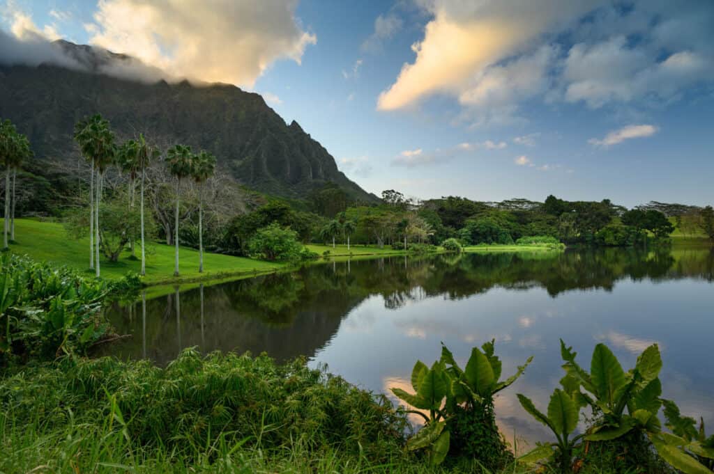 Loko Waimaluhia, a man-made reservoir at Ho'omaluhia Botanical Garden, one of the best gardens in Oahu