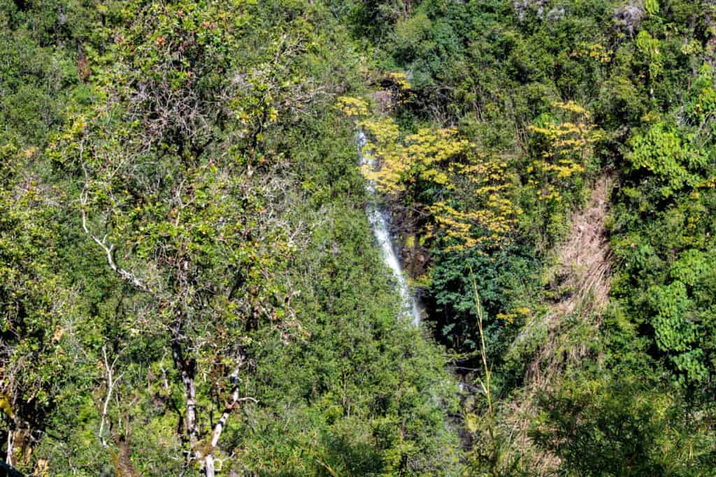 Kahuna Falls, one of two Big Island waterfalls in Akaka Falls State Park