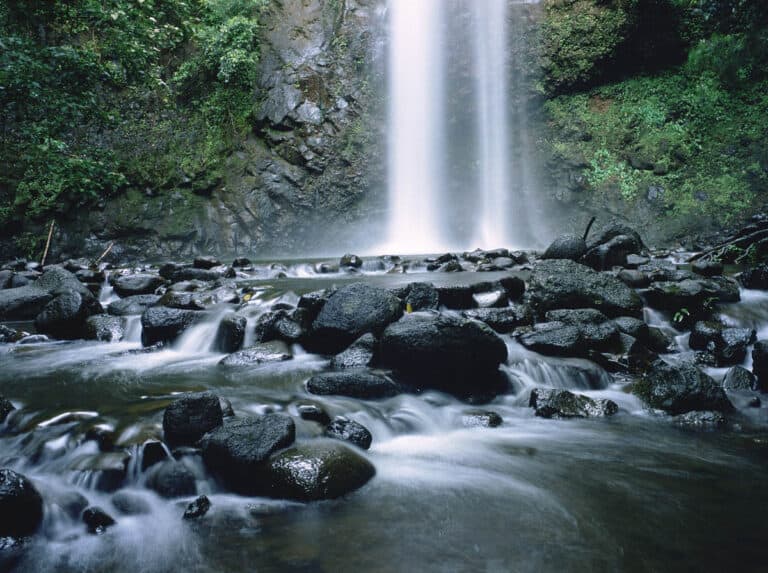 Secret Falls Kauai Kayak + Hike: Complete 2024 Guide