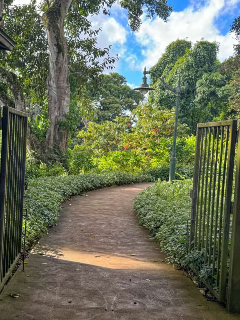 Walking through Wahiawa Botanical Garden in Oahu, Hawaii