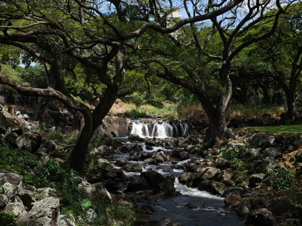 Waterfall at Lili'uokalani Botanical Garden in Honolulu, Oahu