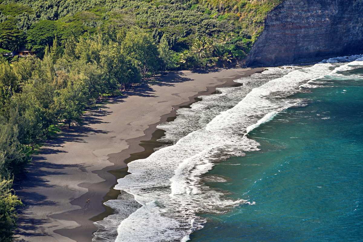7 Best Black Sand Beaches Big Island, HI: 2024 Ultimate Guide