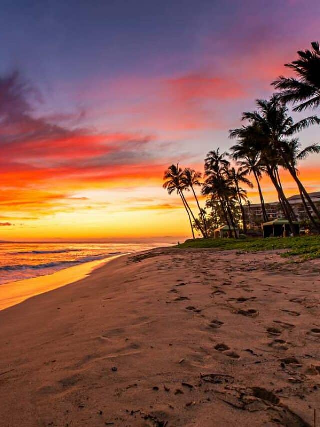 Best Beaches in Maui Story