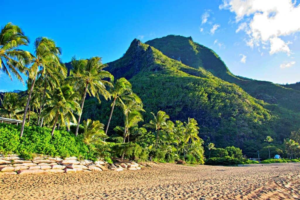 Wide sandy beach, coconut palm trees and Bali Hai at Haena Beach Park, Kauai, HI