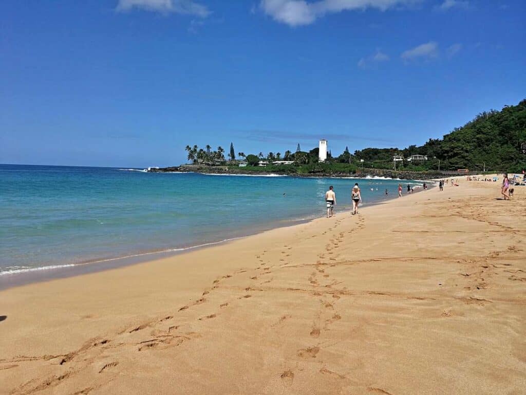 Leisurely stroll along Laniakea Beach, Oahu, Hawaii