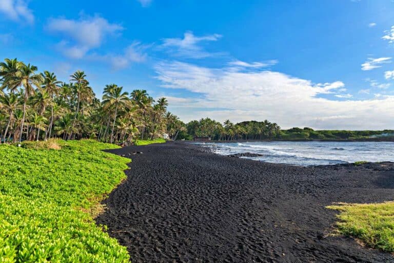 Punalu’u Black Sand Beach, Big Island, HI: Complete 2024 Visitor Guide