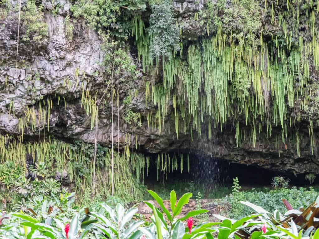 The Fern Grotto on the east side of Kauai, Hawaii