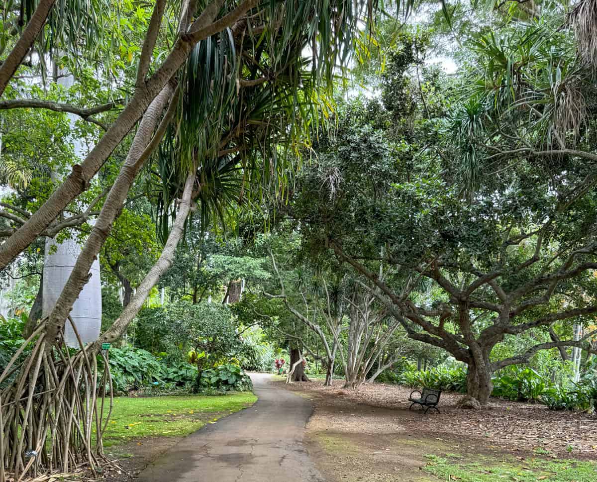 Foster Botanical Garden in Oahu