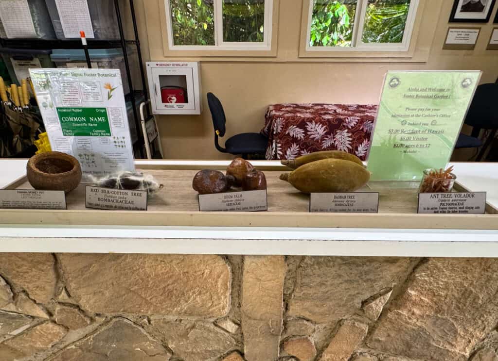 Informative display at the Foster Botanical Garden in Honolulu, Oahu