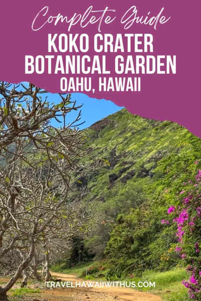 Discover the complete guide to visiting Koko Crater Botanical Garden in Oahu, Hawaii! This unique drylands garden is laid out in the basin of an extinct volcano. 