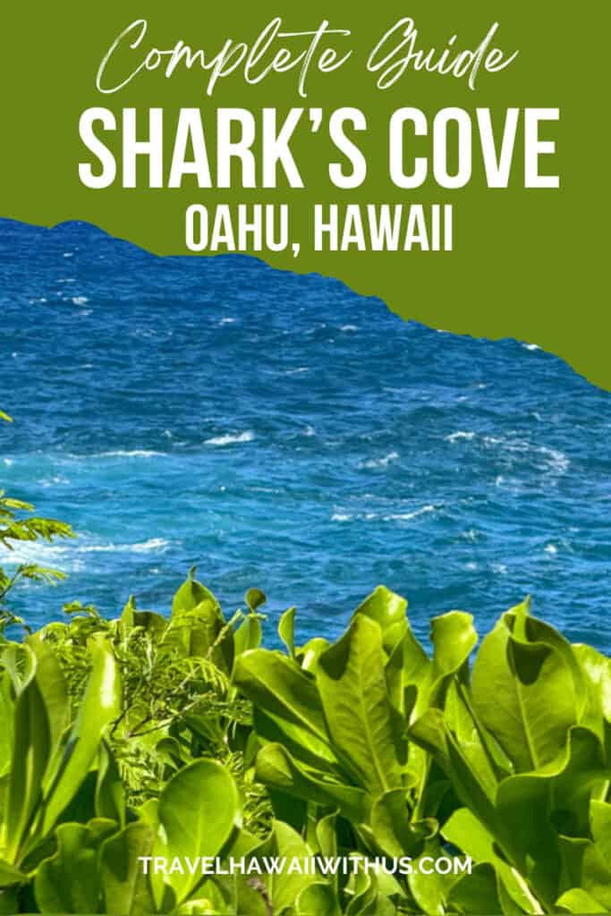 Discover the complete guide to Shark's Cove at Pupukea Beach Park on the north shore of Oahu, Hawaii!