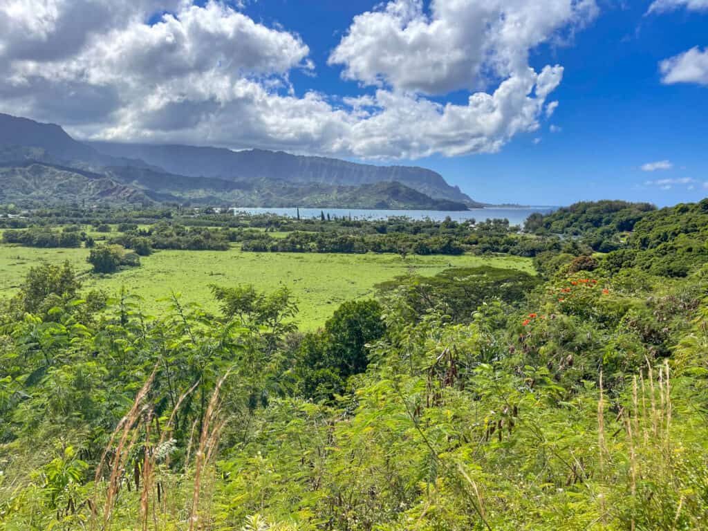 View over Hanalei Bay on Kauai's north shore