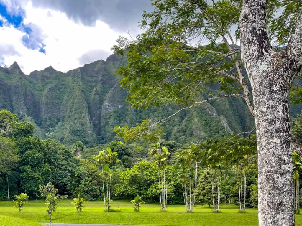 Views of the Koolau Mountains from Hoomaluhia Botanical Garden in Oahu