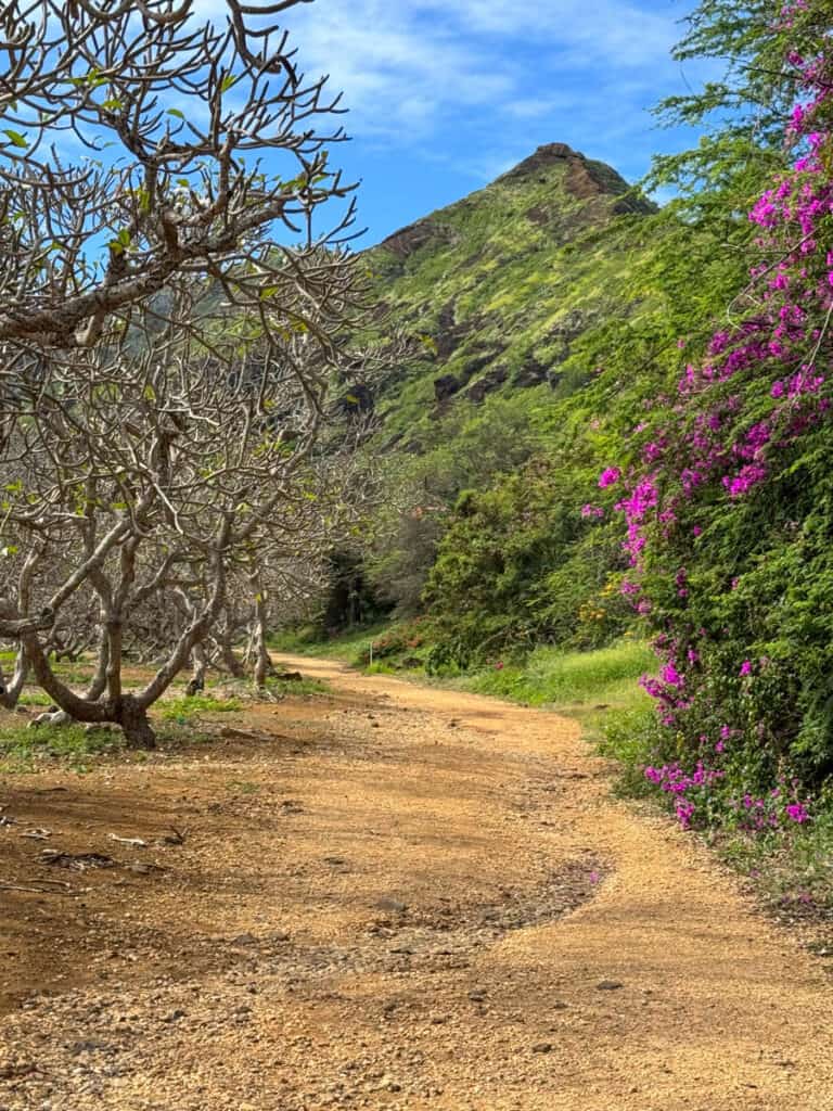 Trail at the Koko Crater Botanical Garden in Oahu, Hawaii