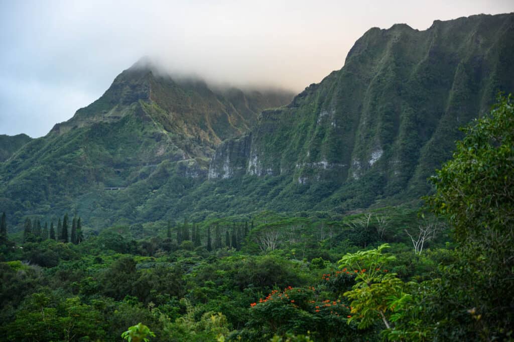 Koolau Mountains from Hoomaluhia Botanical Garden in Oahu
