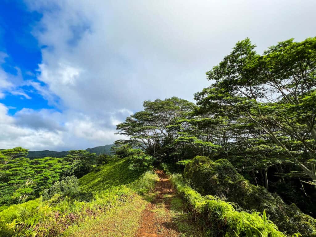 Kuilau Ridge Trail Kauai Hawaii
