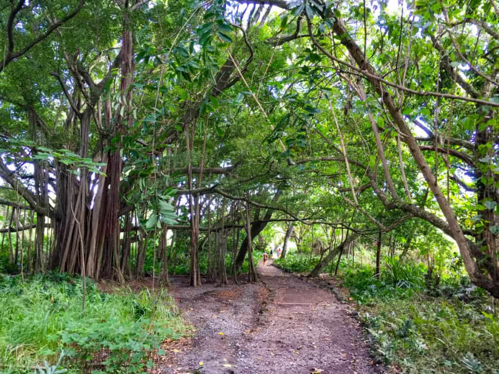 Kuloa Point Trail in Maui, Hawaii